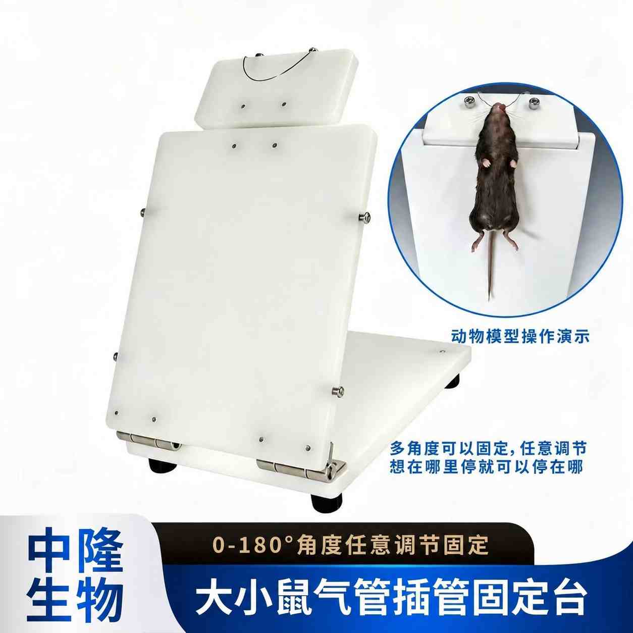 大小鼠气管插管固定台
