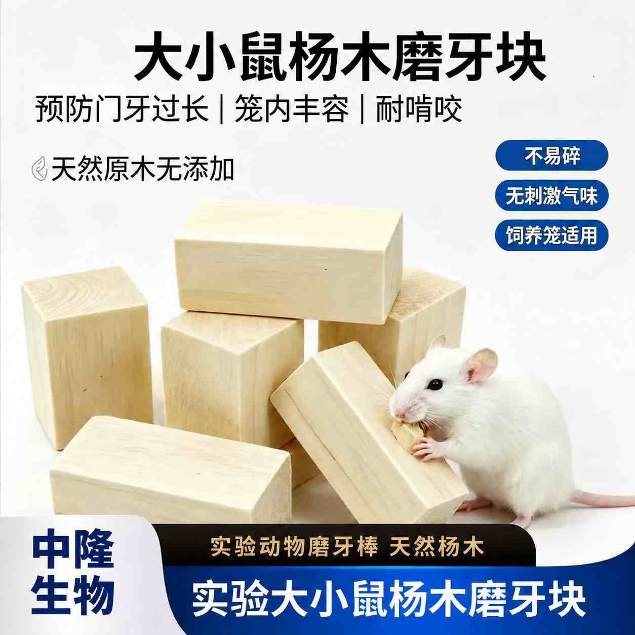 实验大小鼠杨木磨牙块