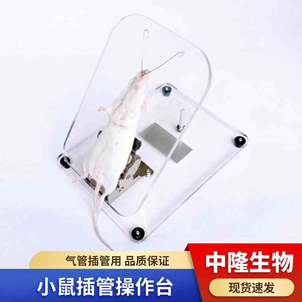 气管插管固定台