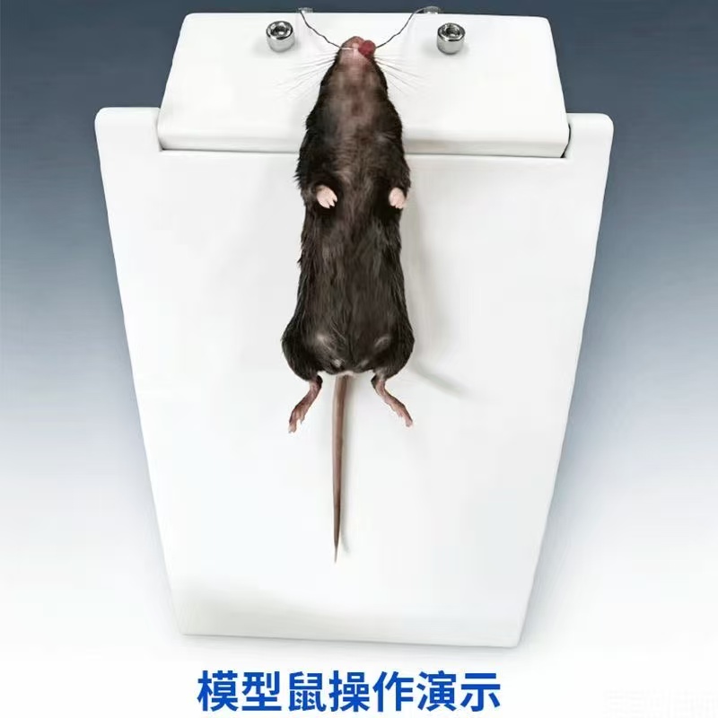 大鼠小鼠气管插管固定台 PP(升级款)