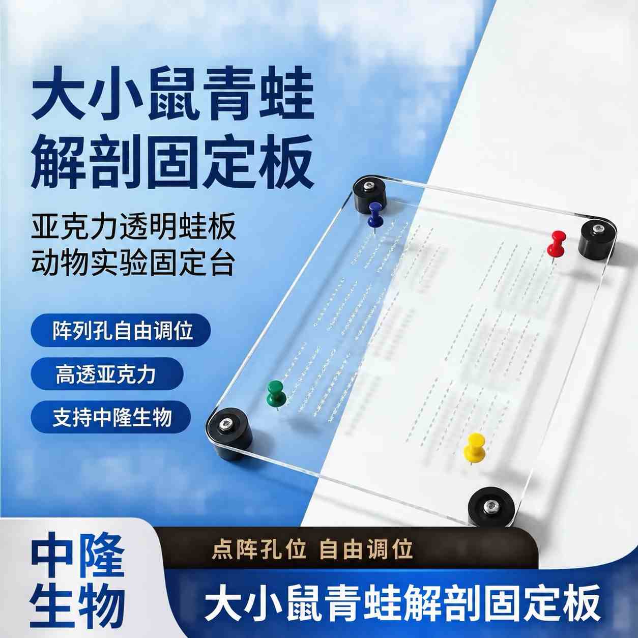 大小鼠亚克力解剖固定板