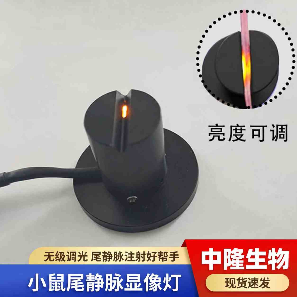 鼠尾静脉注射显像灯圆