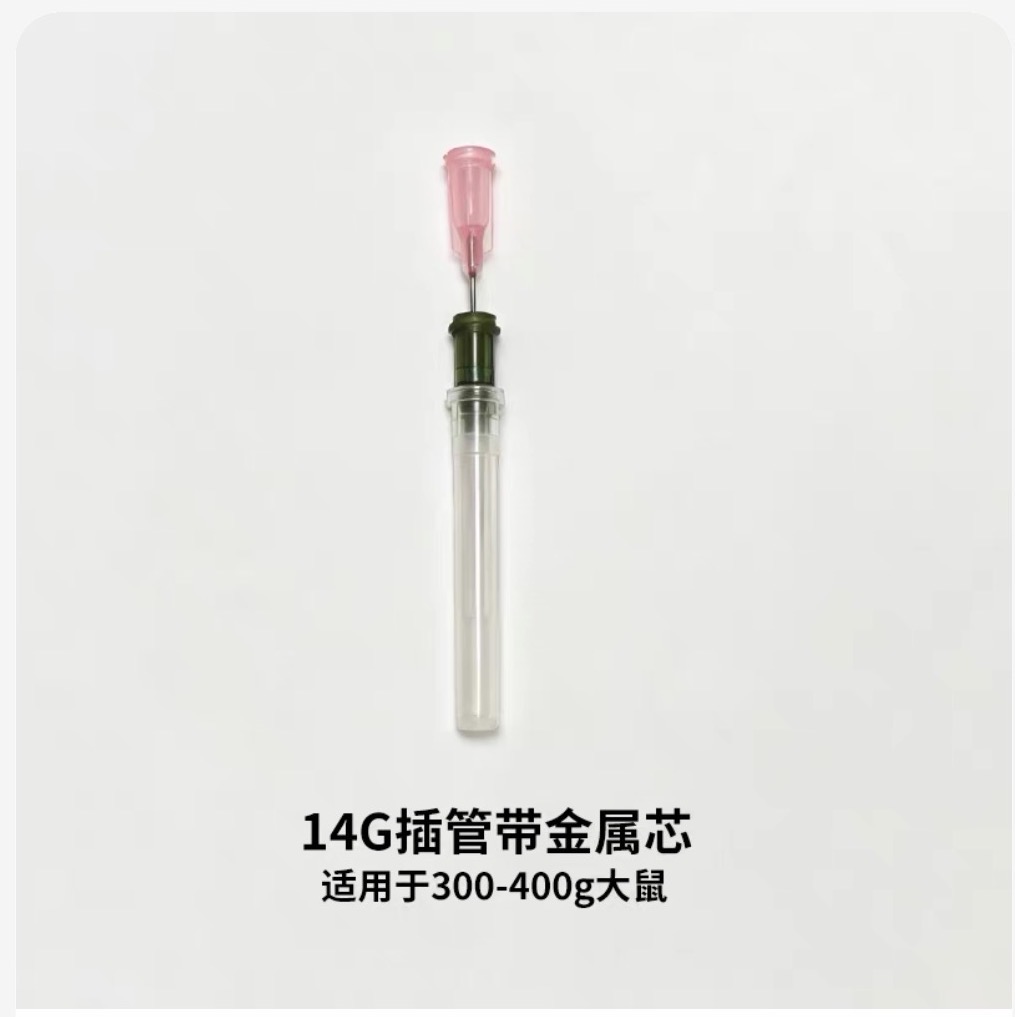 大小鼠气管给药插管气管导管带金属芯