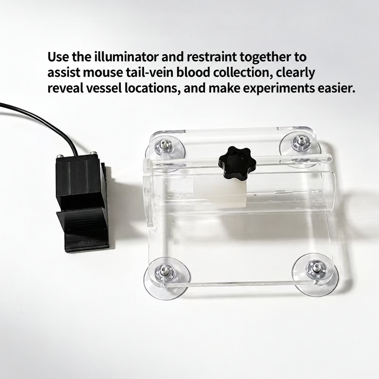Tail Vein Transilluminator — Square Model image 3
