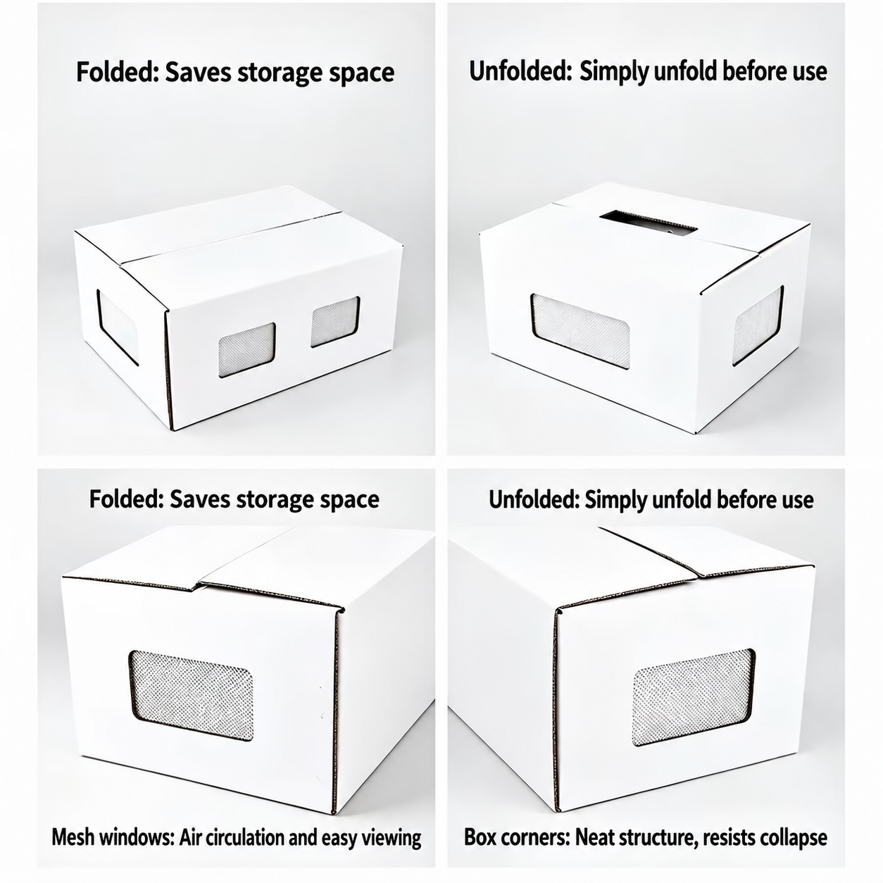 Laboratory Rodent Transport Box image 4