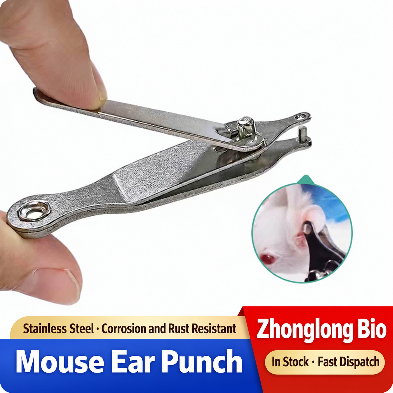 Rat & Mouse Ear Punch