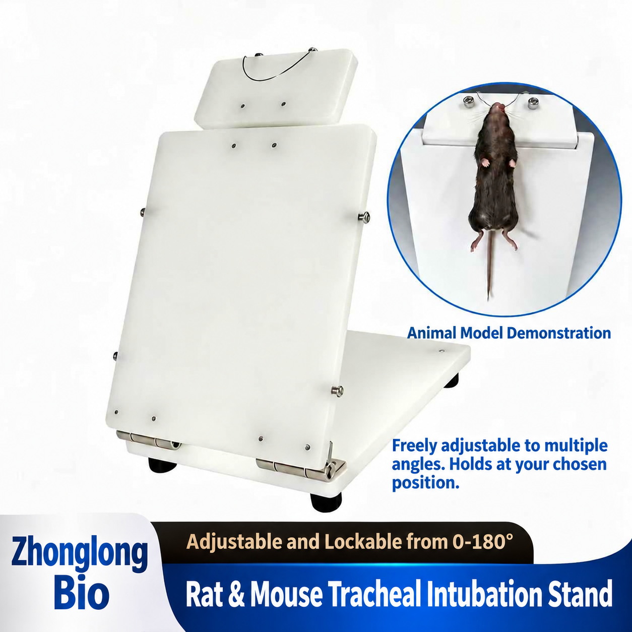 Rat & mouse tracheal intubation platform