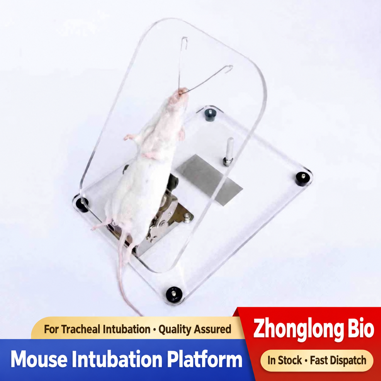 Tracheal Intubation Platform