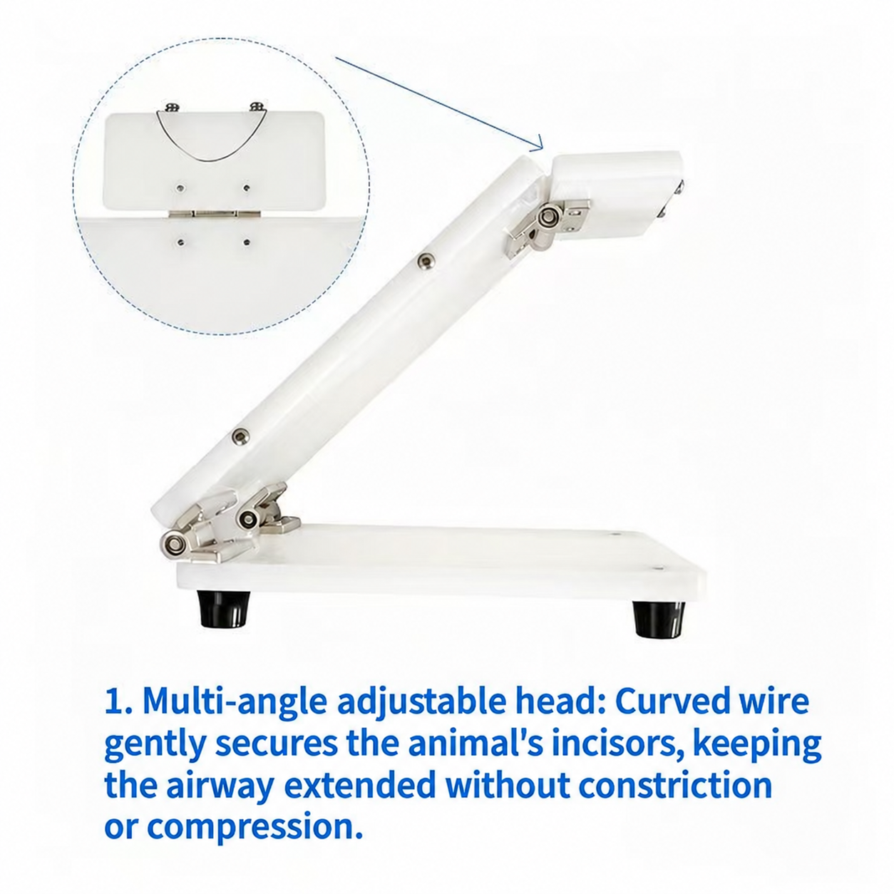 Upgraded PP Intubation Platform for Rats and Mice image 3