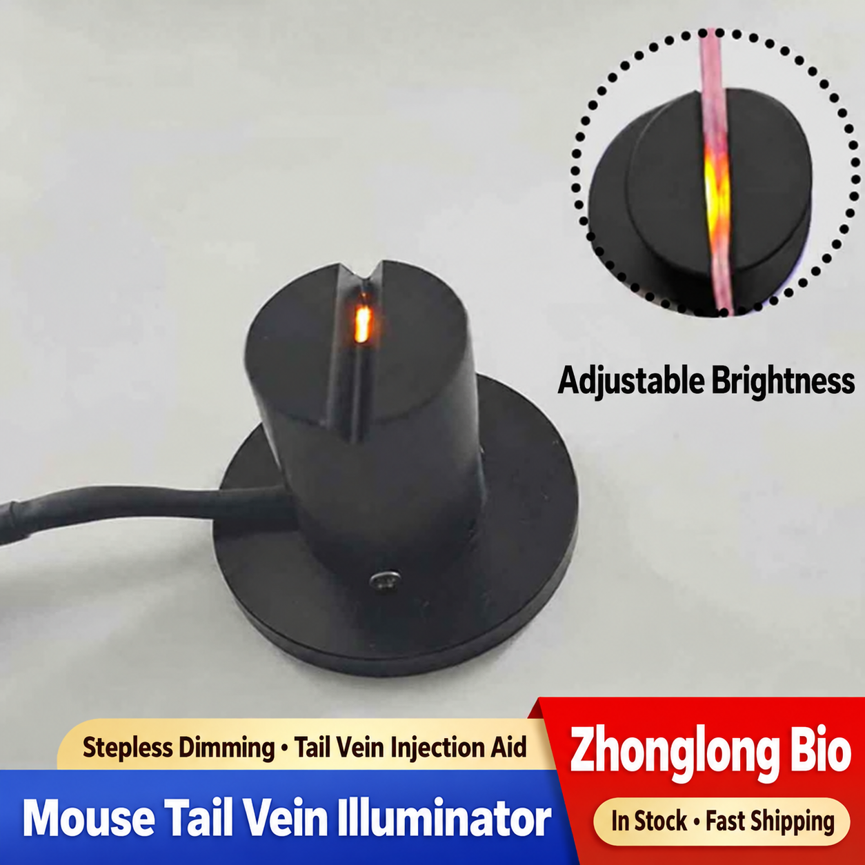 Tail Vein Transilluminator — Round Model