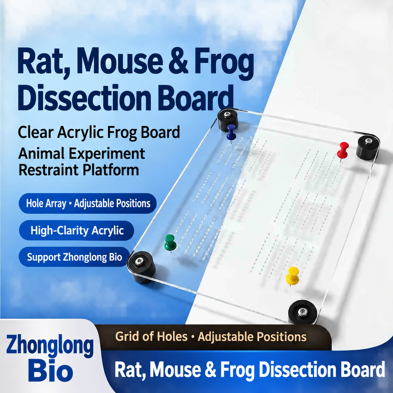 Acrylic Dissection and Restraint Board for Rats & Mice