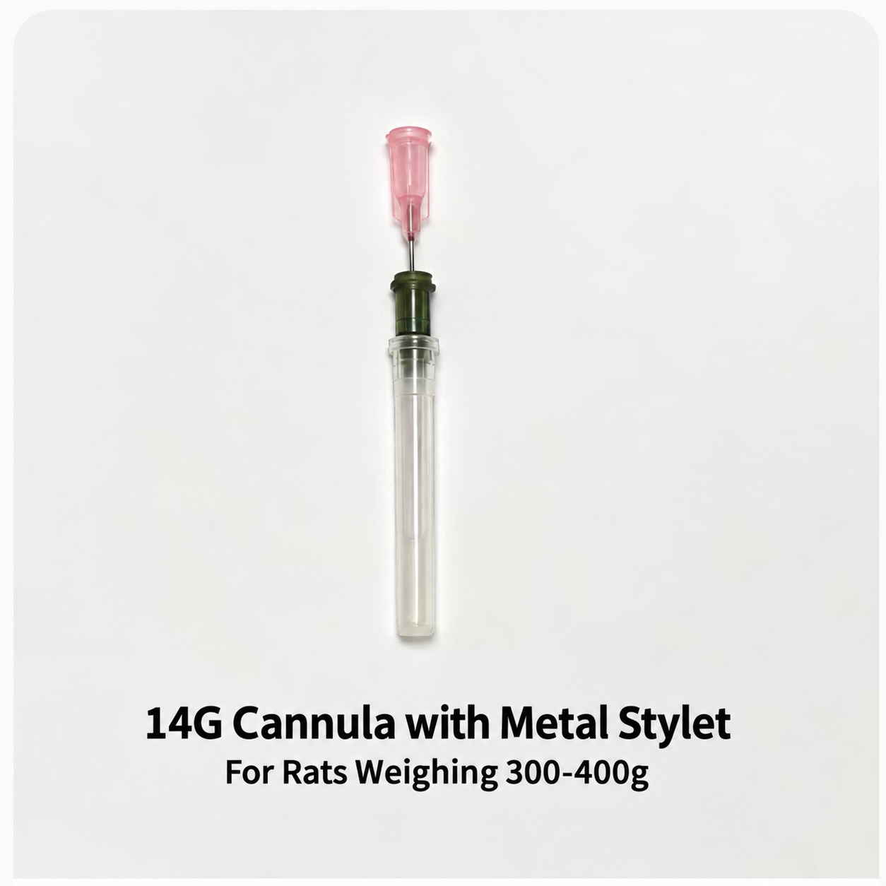 Rat and Mouse Tracheal Catheters with Metal Stylets