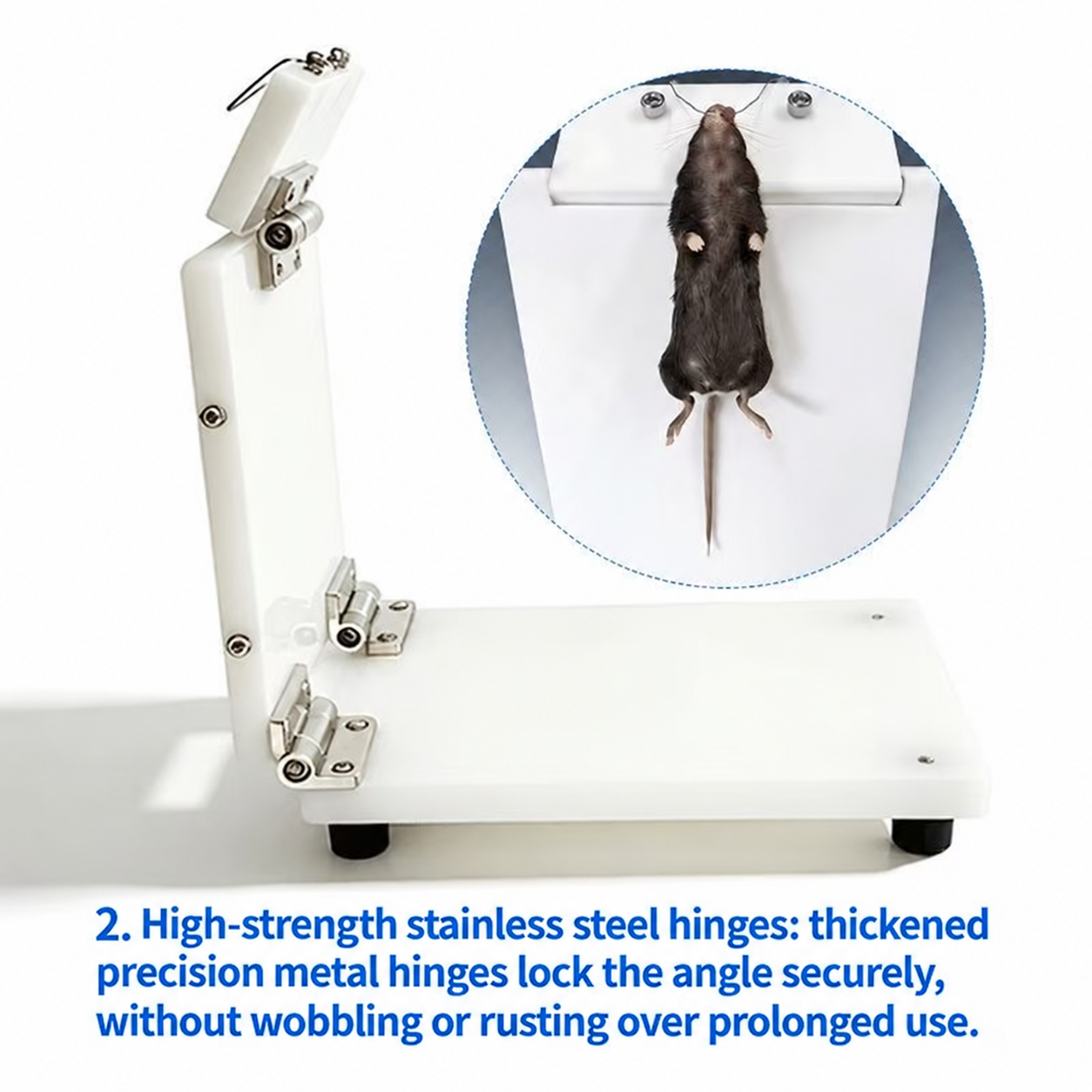 Upgraded PP Intubation Platform for Rats and Mice image 4